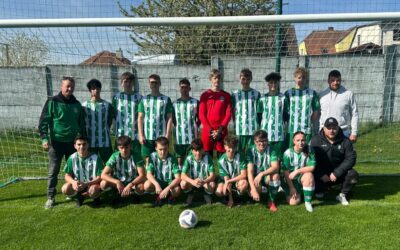 Příspěvek do obecního zpravodaje